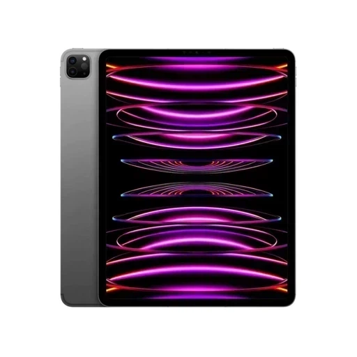 Apple iPad Pro 11” M2 256Gb LTE Gray (MP573)